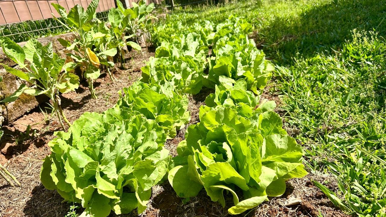 Centro Vida Acolher - Nossa Estrutura